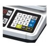 CAS Price Computing Scale